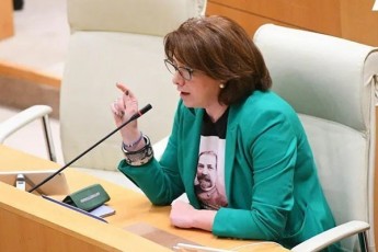 salome-samadaSvili-konstituciis-darRvevaa-roca-cdilob-adamianis-Rirseba-gaanadguro-piradi-cxovrebis-spekulaciebiT---beraias-unda-SeuCerdes-komitetis-Tavmjdomaris-uflebamosileba