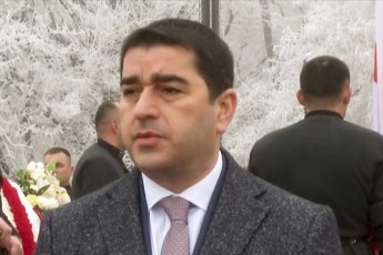 Salva-papuaSvili-Cven-ar-gvaqvs-imis-molodini-rom-Tormetive-rekomendacia-100-iT-Sesrulebulad-gamocxaddeba