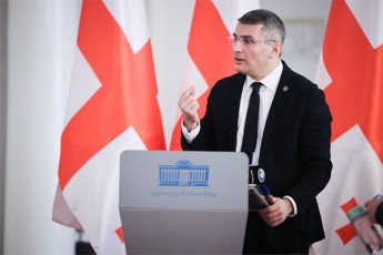 mamuka-mdinaraZe-vin-ekiTxeba-viola-fon-kramons-gzas-rodis-gaakeTeben-TbilisSi-isini-axla-fiqroben-gaisad-arCevnebTan-dakavSirebiT-amboxi-moaxdinon-da-mainc-da-mainc-im-dros-ar-iyos-gadaTxrili-parlamentis-wina-teritoria