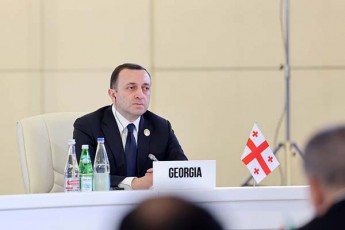 irakli-RaribaSvili-regionSi-varT-erTaderTi-qveyana-romelsac-aqvs-Tavisufali-vaWrobis-SeTanxmeba-CineTTan-da-evrokavSirTan