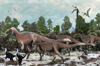 axali-kvlevis-Tanaxmad-dinozavrebi-klimatis-cvlilebis-gamo-gadaSendnen