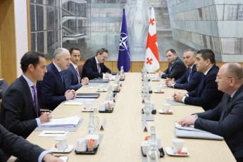 parlamentis-Tavmjdomare-nato-s-generaluri-mdivnis-moadgiles-Sexvda
