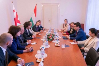 irakli-kobaxiZe-ungreTis-erovnuli-asambleis-vice-spikers-Sexvda