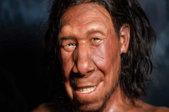 neandertalelTa-genebiT-SeiZleba-aixsnas-ratom-uyvars-zog-adamians-diliT-adre-adgoma
