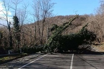 Zlierma-qarma-kaxeTSi-problemebi-Seqmna