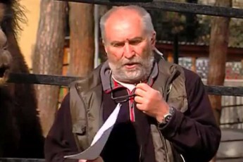zurab-gurieliZis-gancxadebiT-zooparkis-mimdebared-mcxovreblebma-gaiTvaliswines-Txovna-da-axali-wlis-Rames-piroteqnikis-gamoyenebisgan-Tavi-Seikaves-ris-gamoc-yvelaferma-mSvidad-Caiara