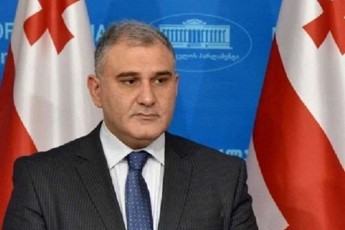 mixeil-sarjvelaZe-lelos-gadawyvetileba-destruqciuli-damokidebulis-sanimuSo-magaliTia---maTi-prioritetia-procesis-dazianeba-da-mxolod-sakuTari-viwropartiuli-interesis-gulSematkivroba