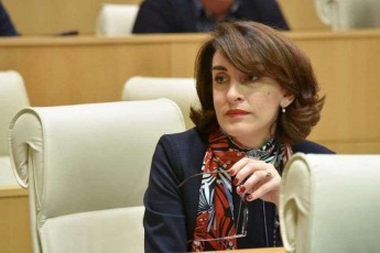 maka-boWoriSvili-evrokavSiris-9-rekomendaciasTan-dakavSirebiT-mniSvnelovani-msjeloba-imarTeba