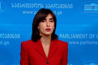 maka-boWoriSvili-es-yvelaze-naklebad-iyo-prezidentis-gamosvla---es-aris-politikuri-moZraoba-qarTuli-ocnebis-winaaRmdeg