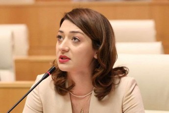 ana-buCukuri-nika-gvaramiaze-mxolod-is-rom-viRac-gundidan-wamovida-imas-ar-niSnavs-rom-maTi-ideologiis-matarebeli-ar-aris