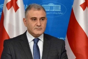 mixeil-sarjvelaZe-sazogadoeba-kargad-xvdeba-rom-politikuri-procesi-unda-iyos-ara-gabutvasa-da-gaxleCaze-orientirebuli-aramed---Sedegze