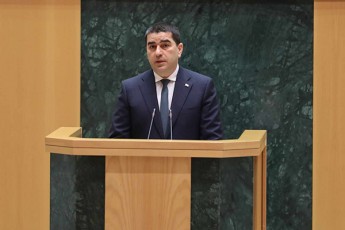 Salva-papuaSvili-opozicia-yovelgvari-mtkicebulebis-gareSe-avrcelebda-dezinformacias-2020-wlis-saparlamento-arCevnebis-gayalbebis-Taobaze-Tumca-mTeli-es-yalbi-kampania-xuxulasaviT-CamoiSala