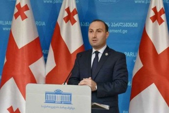 anri-oxanaSvili-nacmoZraobas-SigadaSig-aqvs-wamocdenebi-rom-winarevoluciuri-procesis-samzadisSi-arian