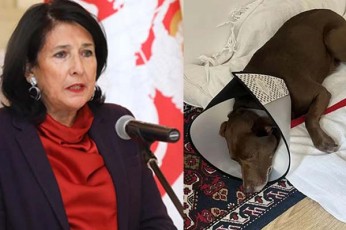 goga-xaindrava-madam-salome-nebayoflobiTi-kastracia-dasavluri-Rirebulebebisadmi-erTgulebis-uprecendento-magaliTia-bravo