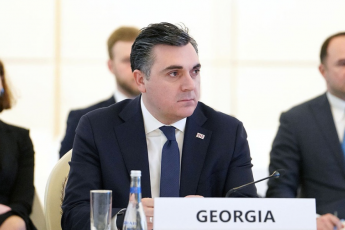 ilia-darCiaSvili-Cveni-diplomatebi-nebismier-qveyanaSi-mzad-arian-daicvan-da-daxmareba-gauwion-saqarTvelos-moqalaqeebs-rac-Seexeba-konkretulad-meqsikaSi-arsebul-situacias---aravin-aris-gatacebuli