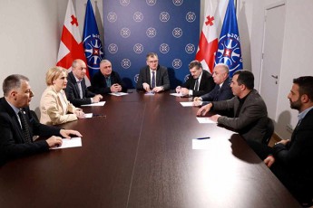 xalxis-Zalis-mTavari-komitetis-sxdomam-partiis-struqtura-daamtkica