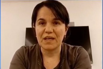 evroparlamentis-saparlamento-mdivani-Tamar-gugulaSvili-gamWvirvalobis-kanonze-rasac-vxedav-jerjerobiT-mowodebebi-aris-rom-evrokomisiam-gaiwvios-Cveni-statusi