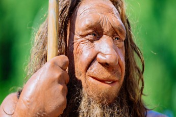 rogor-cxovrobdnen-neandertalelebi-da-rogori-iyo-maTi-xis-iaraRebi