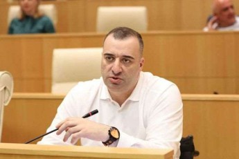 rati-ionaTamiSvili-gamWvirvalobis-kanonproeqtze-wakiTxuli-ar-aqvT-da-mainc-afaseben