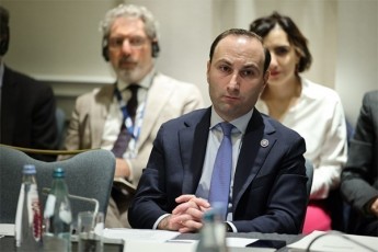 anri-oxanaSvilma-saias-Tavmjdomares-mimarTa-qalbatono-nona-gamijvna-xom-ar-gindaT-da-dagmoba-imis-rac-gaakeTa-elisaSvilma-uflebebis-dacvaze-rom-zrunavT-da-reaqcia-rom-ar-gqondaT-es-aris-ubedureba