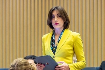 maka-boWoriSvili-srulad-uargumento-opozicias-aRaraferi-darCenia-garda-imisa-rom-ususuri-aleko-elisaSvilis-xeliT-iZalados-da-mere-Zaladobas-taSi-ukras