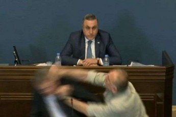 demokratias-sWirdeba-argumentebi-da-kompromisebi-da-ara-muStebi---diplomatiuri-korpusi-politikaSi-Zaladobs-gmobs