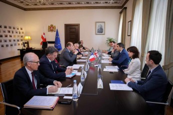 Salva-papuaSvili-safrangeTis-respublikis-senatis-delegacias-Sexvda
