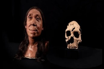 naxeT-mecnierebma-mdedri-neandertalelis-saxe-aRadgines