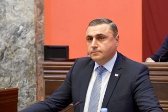 daviT-maTikaSvili-qarTuli-kanonmdebloba-icnobs-im-saxis-pedalirebis-instrumentebs-rom-ZaladobaSi-gadasuli-sityvis-gamoxatva-ar-darCes-pasuxgaucemeli