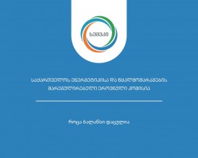 semekma-eleqtroenergiis-gamanawilebeli-qselebis-teqnikuri-inspeqtireba-daiwyo