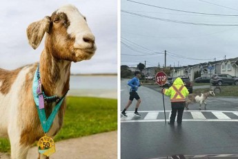 kanadaSi-Txam-maraTonSi-miiRo-monawileoba