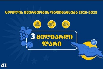 Salva-papuaSvili-2025-2028-wlebSi-soflis-meurneobaSi-3-miliardi-lari-Caideba