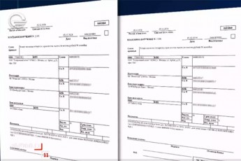 qronikam-moipova-dokumenti-romlis-mixedviTac-elene-xoStarias-ojaxs-4-milionze-meti-rubli-Caericxa