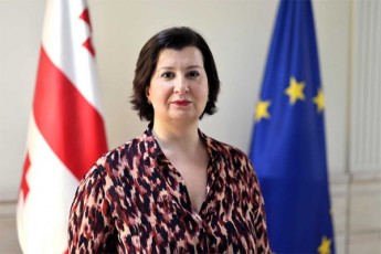 premier-ministrma-saxelmwifo-grantis-marTvis-saagentos-Tavmjdomared-Tamar-zodelava-daniSna