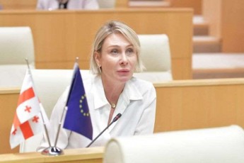 nino-wilosani-mivesalmebodi-frangi-samarTaldamcavebis-gadawyvetilebas-daecvaT-wesrigi-rom-vicode-obieqturebi-iqnebodnen-Cven-mimarTac-rac-sxvis-SemTxvevaSi-kanonis-dacvaa-Cvens-SemTxvevaSi-dasanqcirebis-safuZvelia