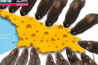 am-etapze-opoziciasTan-dialogis-resurss-ver-vxedav-ocneba-ukan-ver-daixevs-es-xelisuflebis-gadabarebis-tolfasi-iqneba