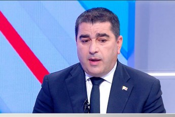 Salva-papuaSvili-megobar-aqtze-am-dokumentis-erTaderTi-daniSnuleba-aris-sainformacio-xmauris-Seqmna-es-aris-imave-seriidan-rac-evroparlamentis-rezoluciebi