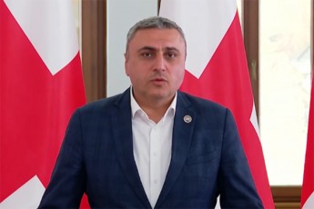 daviT-maTikaSvili-albaT-venis-konvencia-kidev-aqvT-gadasakiTxi-Zalian-bevr-diplomats-romelsac-miviwyebuli-aqvs-es-sakiTxi-Caetion-im-farglebSi-rasac-diplomatiuri-etiketi-da-konvencia-ukarnaxebs