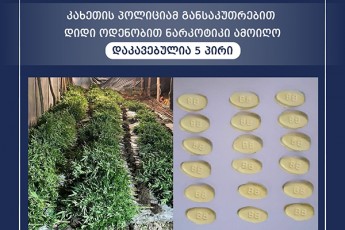 kaxeTis-policiam-gansakuTrebiT-didi-odenobiT-narkotiki-amoiRo---dakavebulia-5-piri