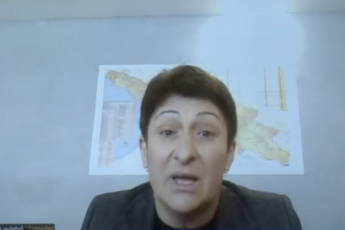 nona-yaulaSvili-ew-arasamTavroboebma-Semogvitanes-sabnebi-da-leibebi-is-iyo-Cveni-masxrad-agdeba-saSineli-suni-asdioda---noember-dekemberi-iyo-eleqtroenergia-CaWres-es-gaaprotesta-mosaxleobam-da-es-sabnebi-vaCveneT-gamgebels