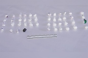 policiam-aWaraSi-gansakuTrebiT-didi-odenobiT-kokaini-amoiRo---dakavebulia-ucxo-qveynis-moqalaqe