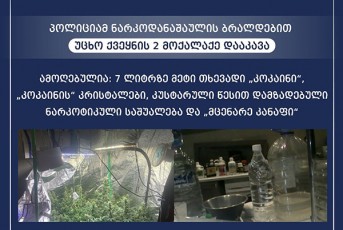 policiam-narkodanaSaulis-braldebiT-ucxo-qveynis-2-moqalaqe-daakava---amoRebulia-gansakuTrebiT-didi-odenobiT-sxvadasxva-saxis-narkotiki