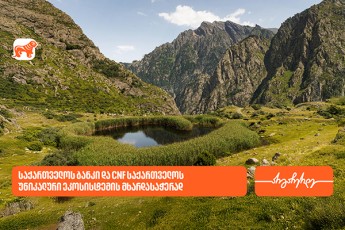 saqarTvelos-banki-mwvane-iniciativebis-mxardaWerasa-da-saqarTvelos-unikaluri-ekosistemis-dacvas-aqtiurad-ganagrZobs