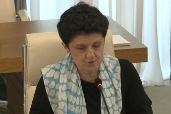 Tea-wulukiani-Ss-ministri-romelsac-egona-rom-efeqturi-kontroli-aRar-aqvs-qveyanas-mocemul-teritoriaze-gadadga-nabiji-saguSagos-dasadgmelad-gegmavda-kidev-6-saguSagos-Cadgmas-ratom-ar-gaagrZeleT-Tu-es-kargi-nabiji-iyo-saguSagoebis-Cadgma