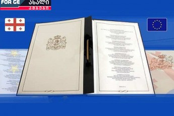 fsiqiatriuls-daemsagavsa---evroparlamenti-odesme-daSlis-evrokavSirs---iReben-rezoluciebs-romelTac-Calis-fasic-ar-aqvT
