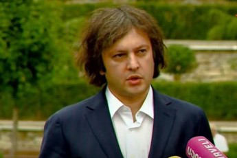 ocneba-arCevnebze-euToodirs-ar-iwvevs---vixilavT-Tu-ara-misiebs-ungreTidan-da-sxva-naklebadcnobili-organizaciebidan