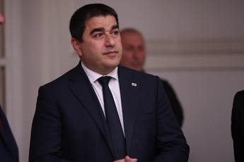 Salva-papuaSvili-Tu-rame-sadavo-aqvs-safars-SeuZlia-evrokomisias-edavos