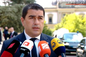 Salva-papuaSvili-JenevaSi-vizitze-mqonda-SesaZlebloba-paneluri-diskusiis-farglebSi-iseve-rogorc-generaluri-debatebis-farglebSi-mesaubra-gamWvirvalobis-mniSvnelobaze-sxva-qveynebis-Sida-saqmeebSi-Carevis-dauSveblobaze