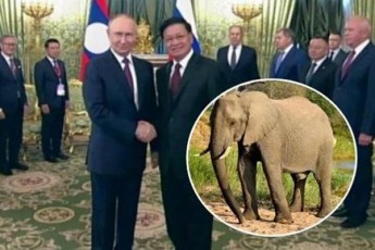 laosi-prezidenti-putins-spiloebs-aCuqebs---ra-upasuxa-mas-putinma
