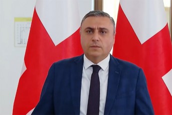 daviT-maTkaSvili-SvedeTis-mier-miRebul-kanonze-Sewyviton-ormagi-standartebiT-moqmedeba